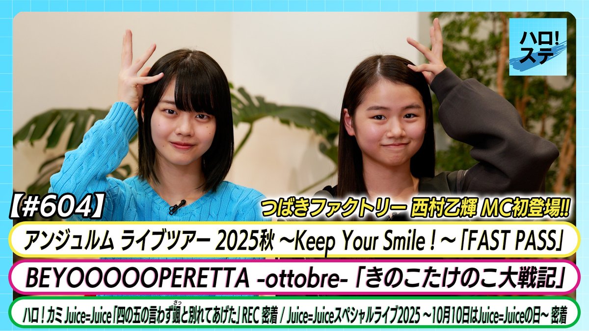 マシュマロ3D マシュマロ ファイト インディーズ マシュマロ3d