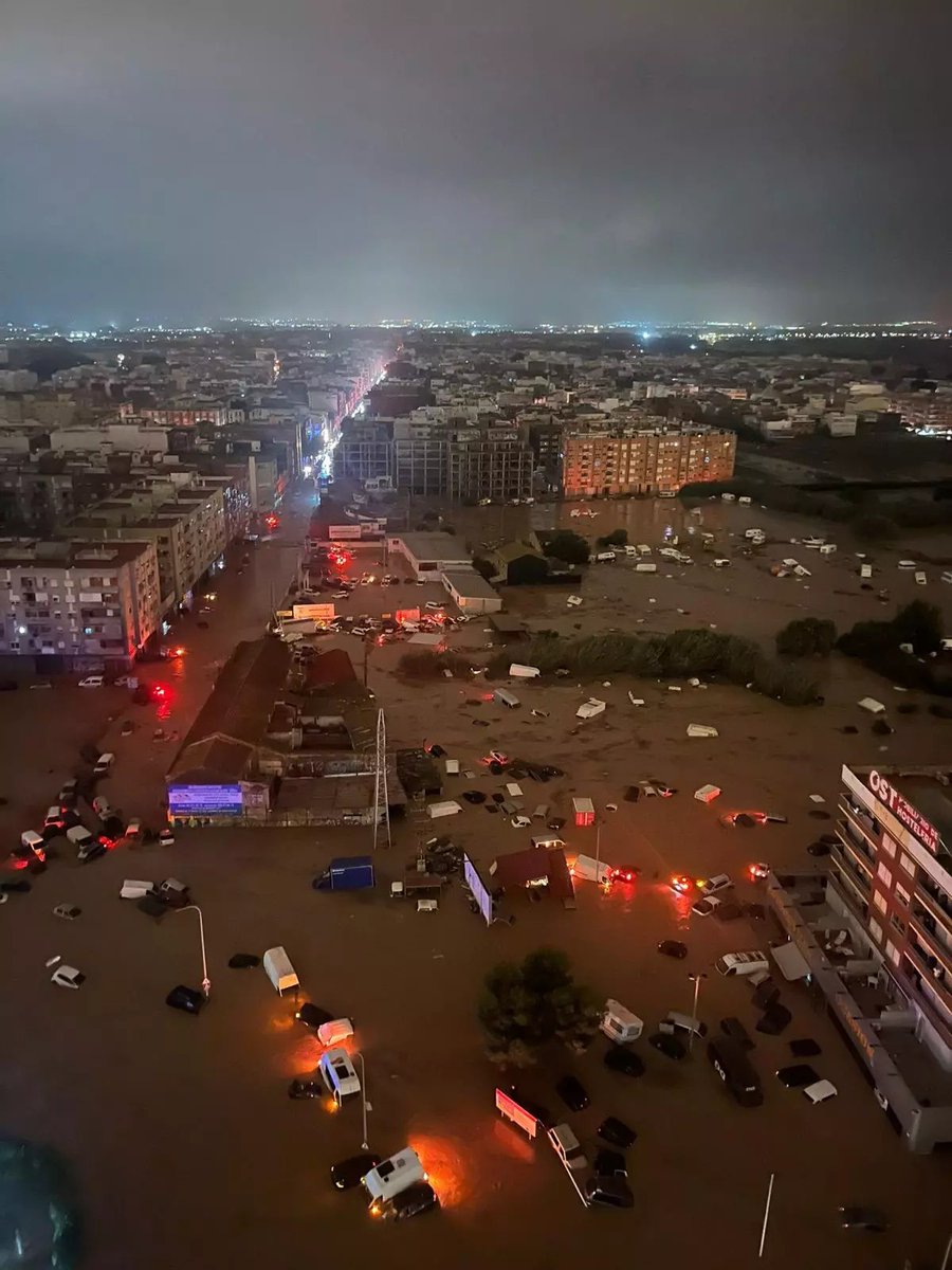 joshrimarn's tweet image. 