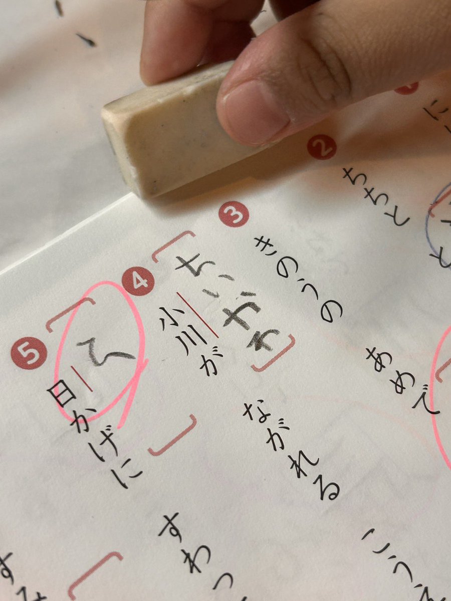 たつぽん (@wondergeppe) / Posts / X