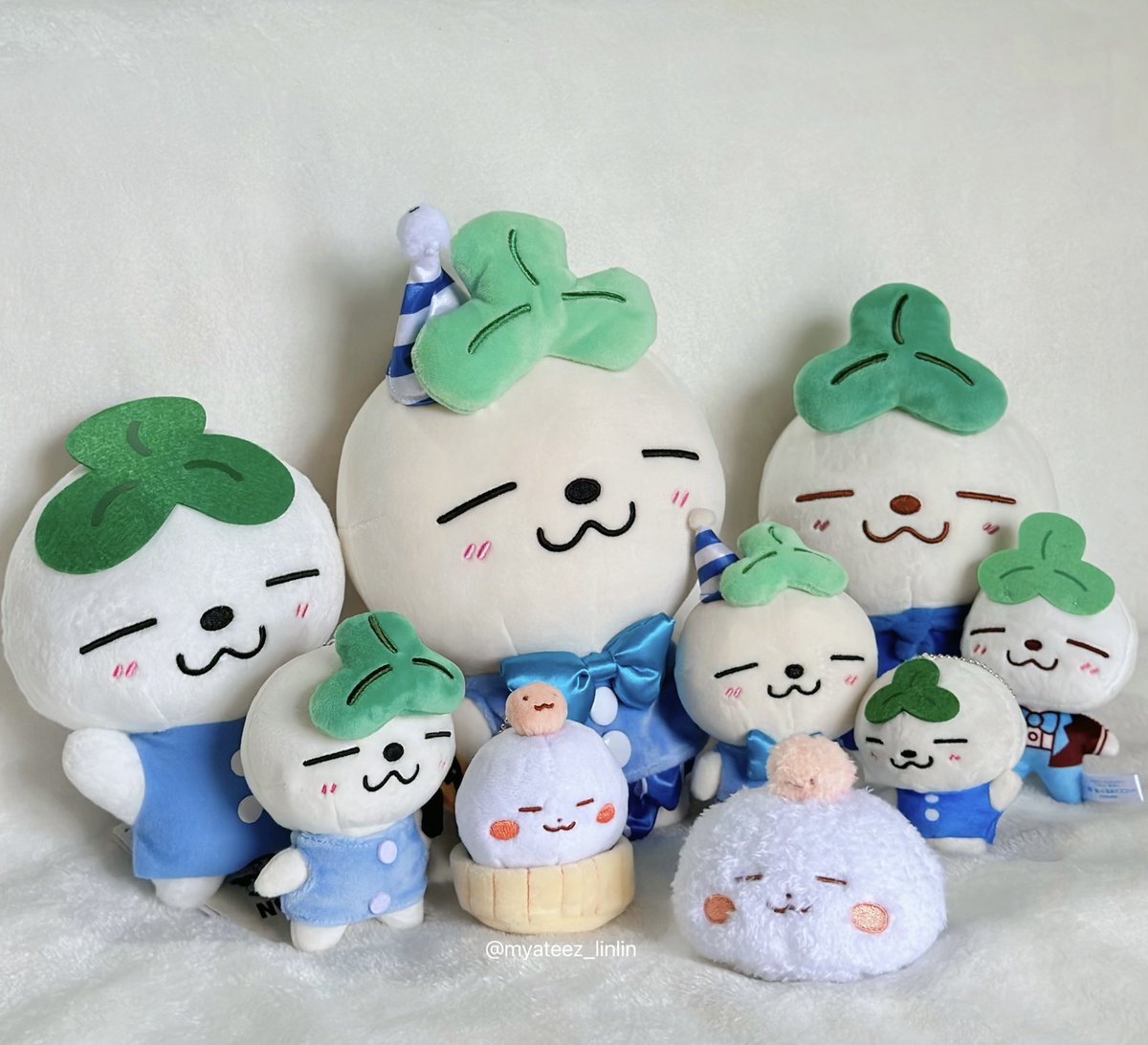 myateez_linlin's tweet photo. welcome my newest little friend  ( -  ·̫  - )  ☘️🍡 https://t.co/z9Wc9koywf