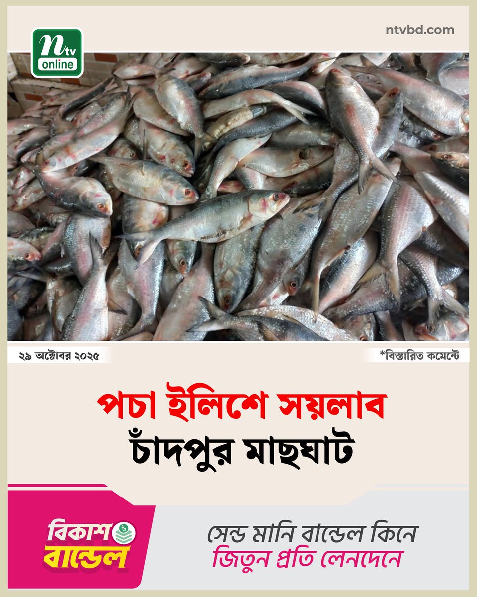 ntvdigitals's tweet photo. খবরটি এক ক্লিকে পড়ুন👉https://t.co/enjQW5aSFc https://t.co/NtcEKlBdjC