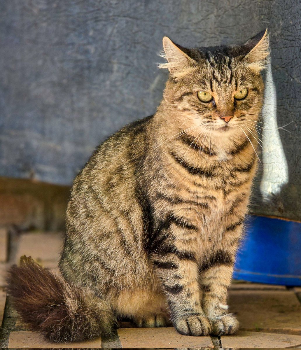 Її звати Сатана