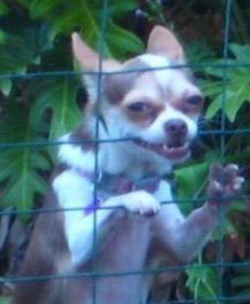 Kamomo's (@sheldonnahabwe) on Twitter photo 