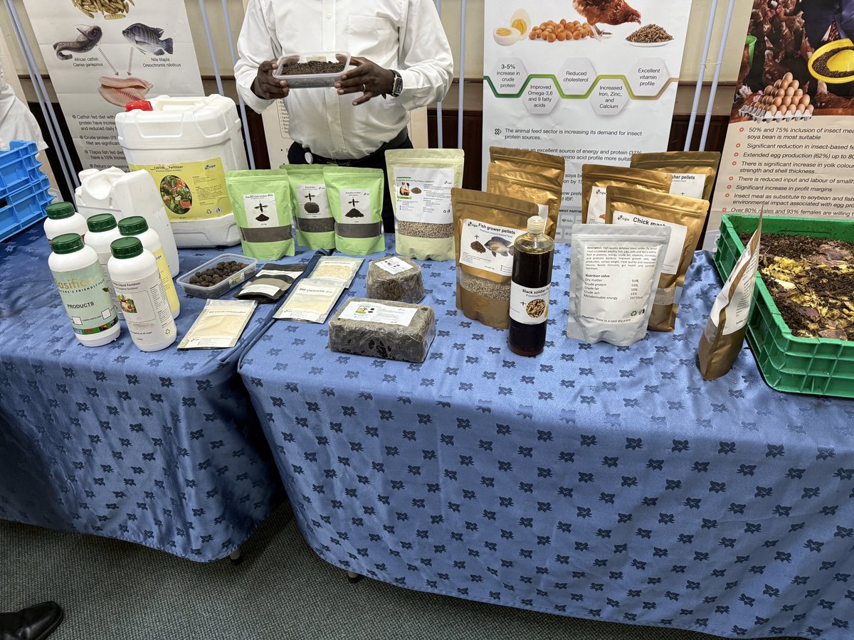FliesFacility's tweet photo. Look at all of the products produced from #bsf- at ICIPE! Diversification of products from bsf is essential for the industry! @tamuentomology @BenbowLab https://t.co/z61UPIa6bL