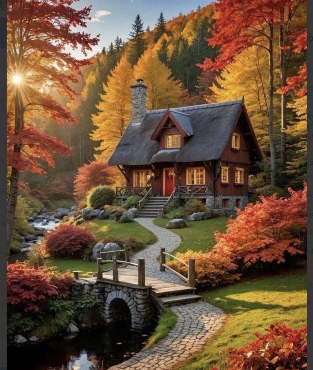 Good morning everyone 🧡 Have a wonderful Wednesday!