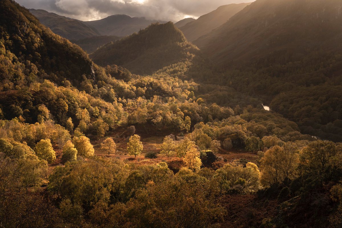 Tim Dove Photography tweet media