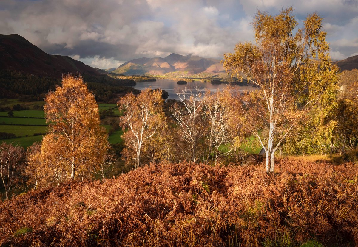 Morning all 👋 Long time no tweet. A series of images from an Autumnal walk around Borrowdale last week. <a href="/SonyAlpha/">Sony | Alpha</a> <a href="/OutdoorPhotoMag/">Outdoor Photographer</a> <a href="/TGOMagazine/">The Great Outdoors</a> <a href="/Lowepro/">Lowepro</a> #LakeDistrict #Autumn #landscapephotography #trees