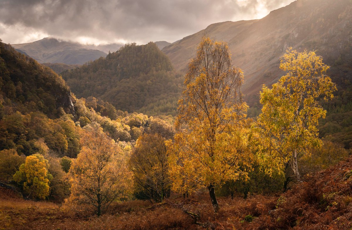 Tim Dove Photography tweet media