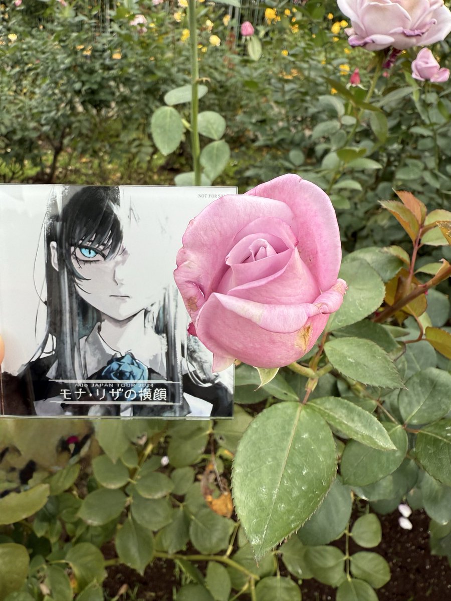 p-chan 🎶🎸🥐🍞🥨🥖 on X