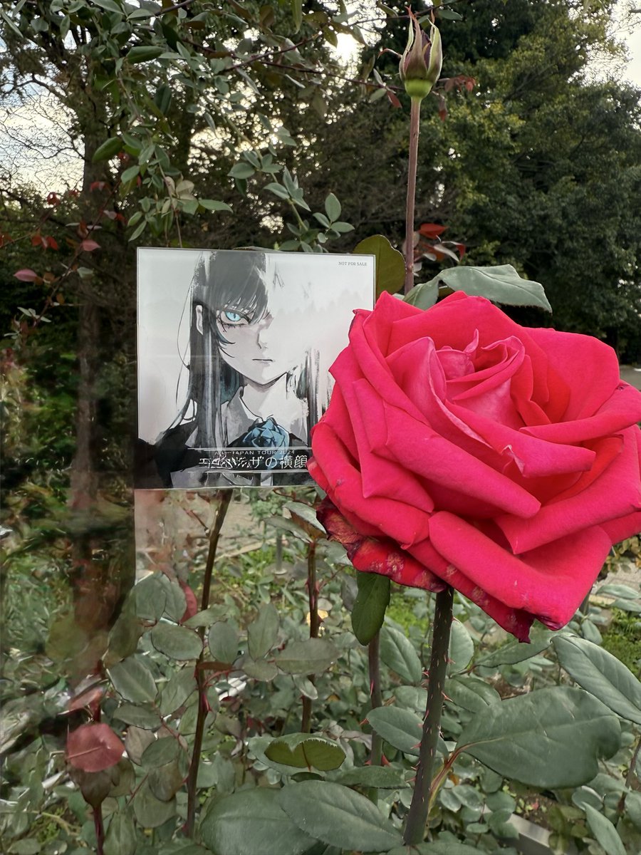 p-chan 🎶🎸🥐🍞🥨🥖 on X