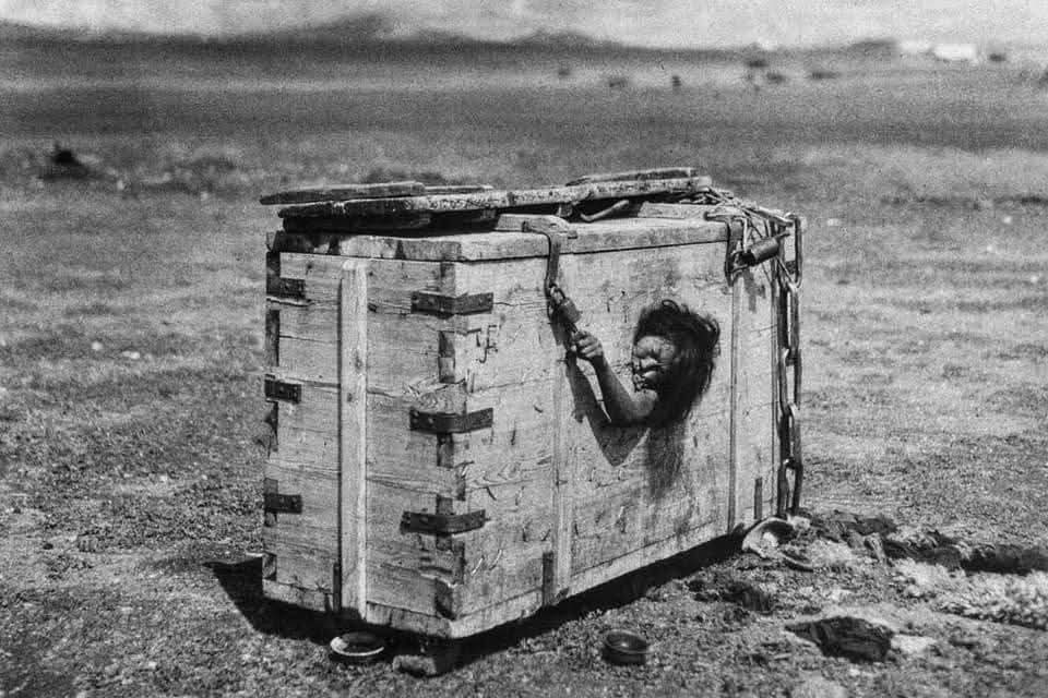 They are doing this to me