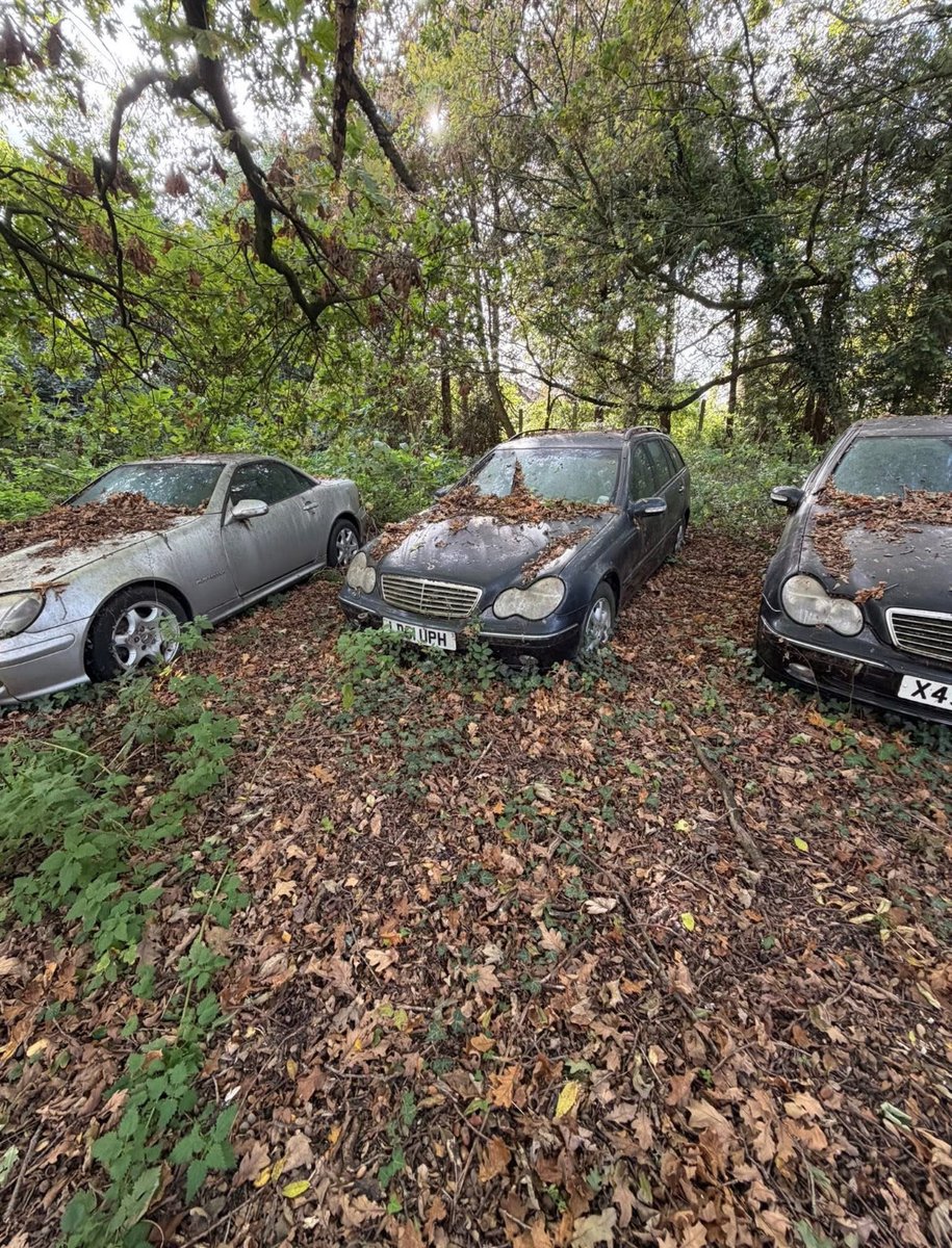 **Abandoned Cars UK**

The owner of these cars has passed away and a gentleman called Steven Grantham has been sent to clear them. 

I presume he will either try and find them new homes or they will be scrapped. 

Will share all the cars so could be a long post. 

📸 Steven