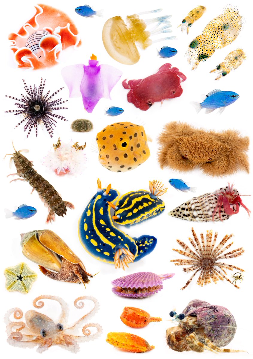 タコ様 リクエスト 8点 まとめ商品 タコ様 リクエスト 8点 まとめ商品 cocco-totto様 リクエスト 2点