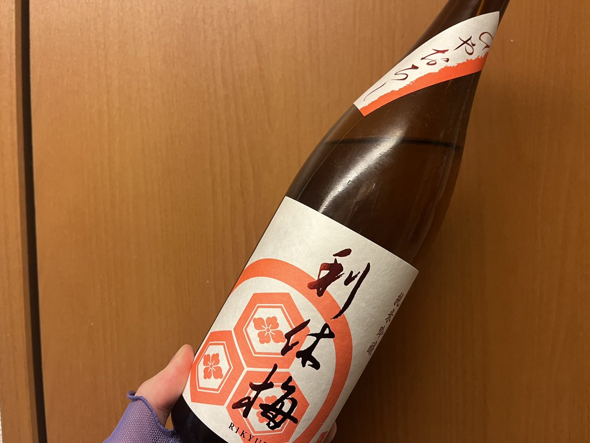 若い梅 no not non on X