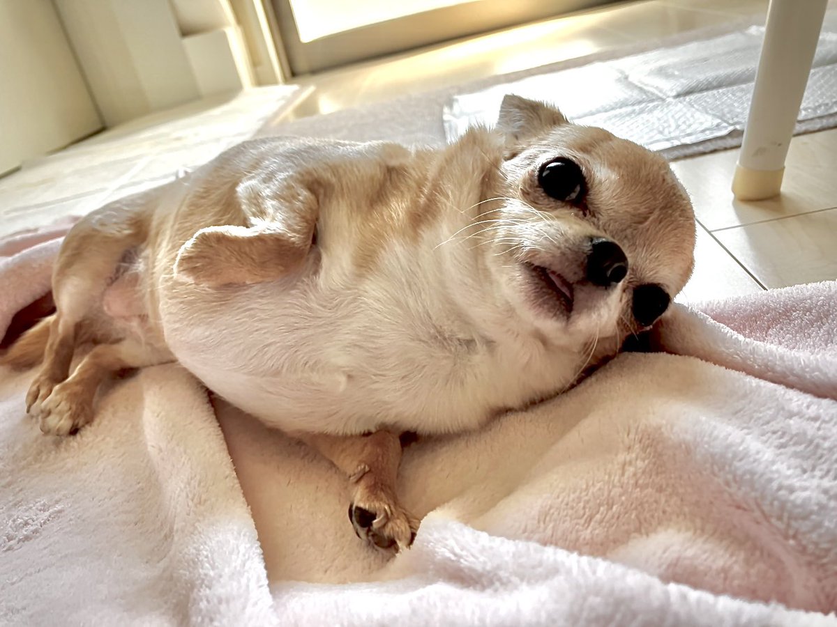 ぽんさま確認ページ♡ 何のサポートやねん？ 暇つぶしに掛けたなるやん😁