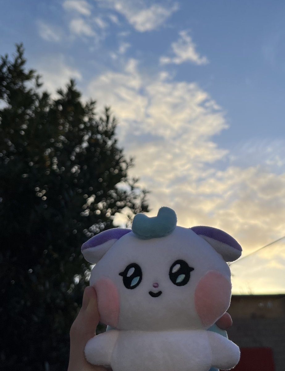 duskstarjongho's tweet photo. so i had an idea for a lil project we could do for jongho.. since jjongyo is a weather fairy i thought we could take pics w her whatever the weather to report it using #jjongyoweatherreports !! 
like i took these during golden hour which was the nicest part of the day that day :” https://t.co/AzFnKEvRJI