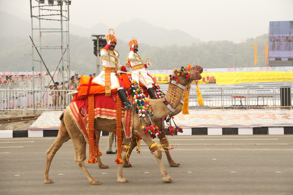albas_khatik's tweet photo. Beautiful camel 🐫 https://t.co/pjjPKjXRVd