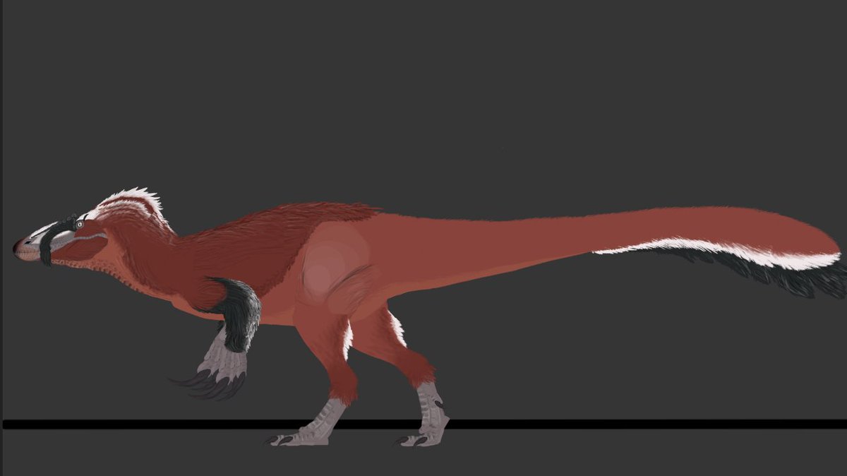 Megaraptor From Terra Nova ( Vk Project)
#dinosaur #Megaraptor #Birds