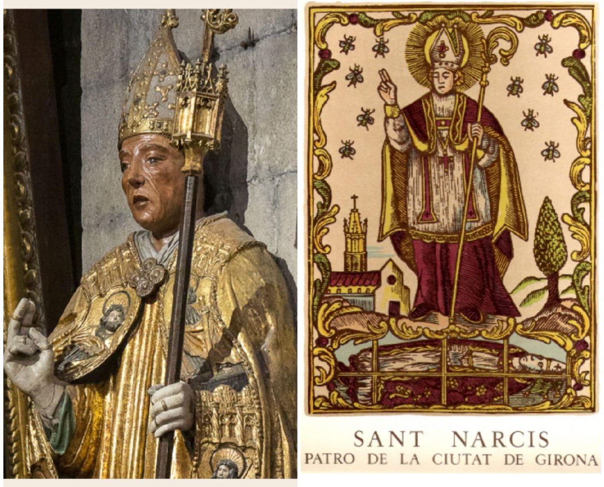 Albert Mateos Poch tweet media