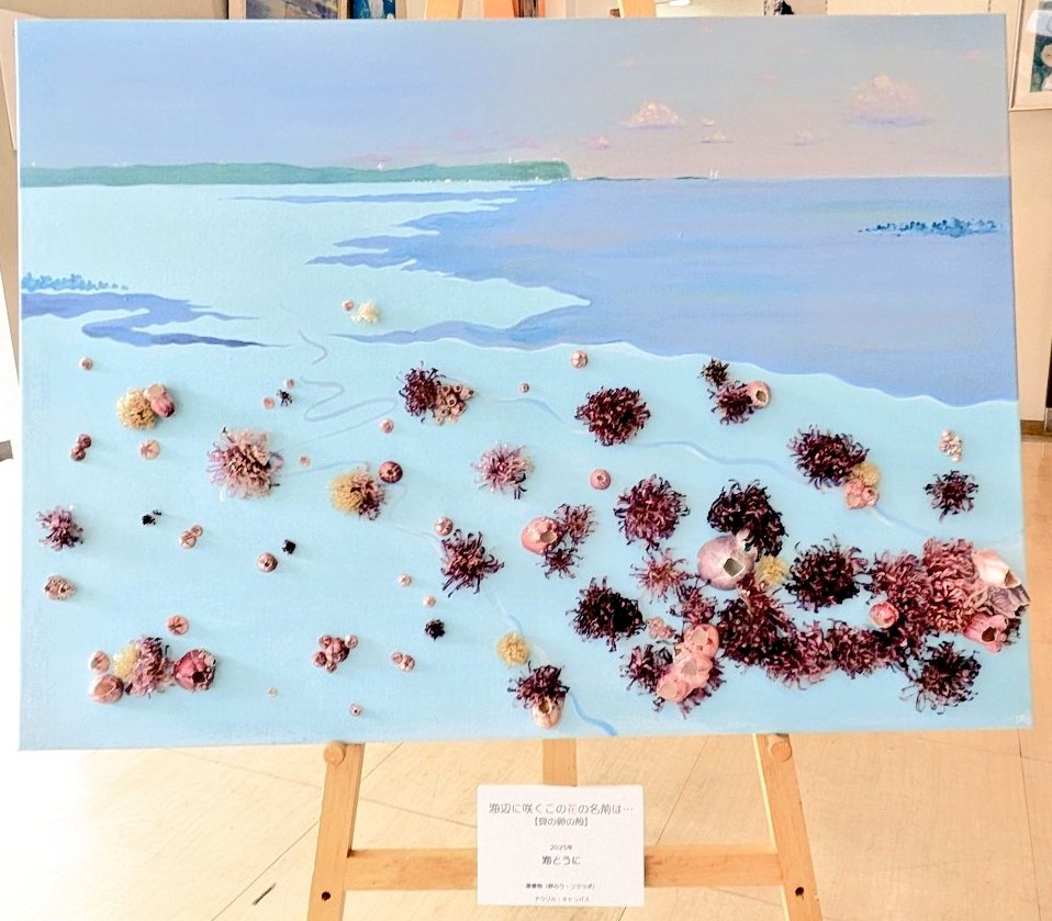 秦森康屯　日本海 海とうに✹ on X