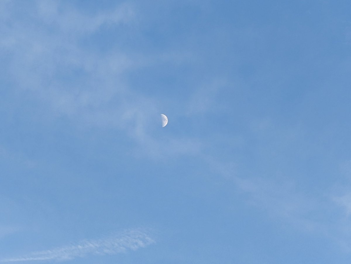 お天気良いのでごみ袋もって利用者宅まで歩いて訪問いたしやした🧑‍🦯

途中でヘルパー仲間とバッタリ会いました

「歩いてる時間あるなら、
仕事増やせば〜」と勧められましたが、
「ゴミひろわないといけないんで、仕事してられない」とお断りいたしやした✌️

#レッツごみひろい🐕