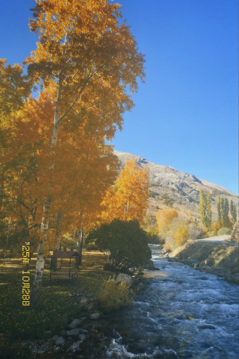 ayrılık ayları
Ekim,29