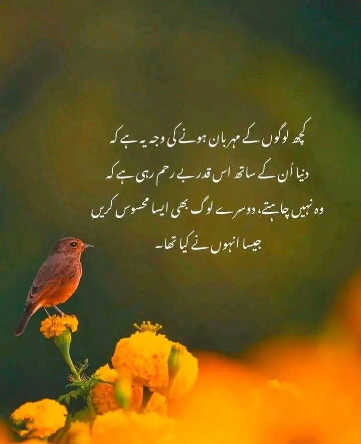 ❤️‍🩹🤌:نبھانا جس کو کہتے ہیں وہ کچھ لوگوں کو ہی اتا ہے🥲
بہت آسان ہوتا ہے یہ کہنا مجھے محبت ہے تم سے🥺😕❤️‍🩹