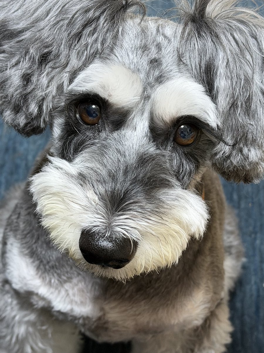 しんちゃんの眉
いい感じだねー