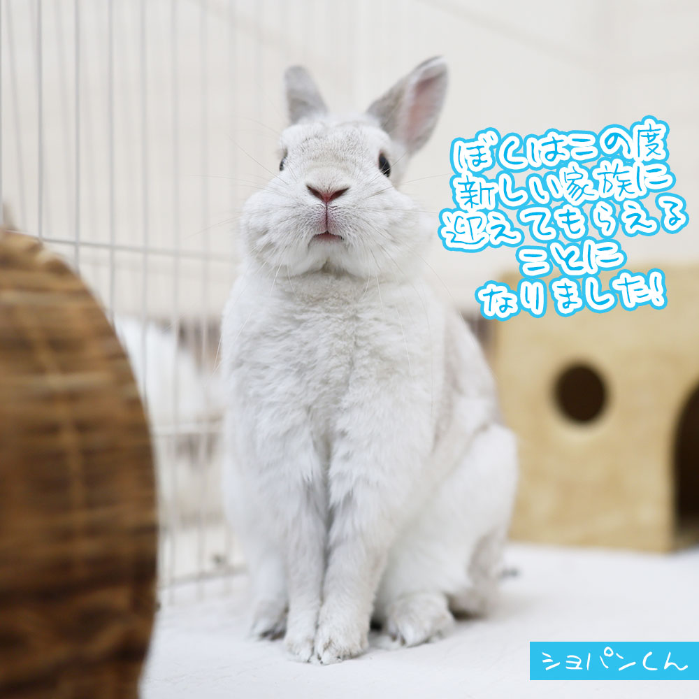 まりあページ✩⡱ その口閉じろ