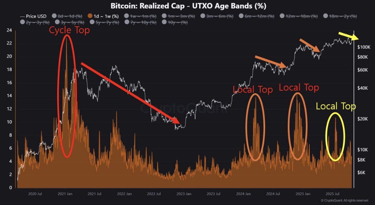 Analysts at CryptoQuant believe the current market pullback is relatively mild and temporary, with a strong altcoin surge likely to follow before this cycle concludes.