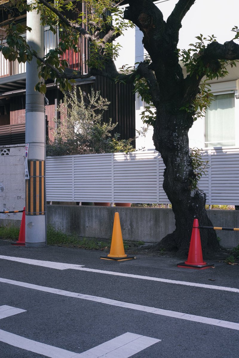maochi_snap's tweet photo. けふ
#DP2M #Foveon #streetphotography https://t.co/gvMRI1rfbF
