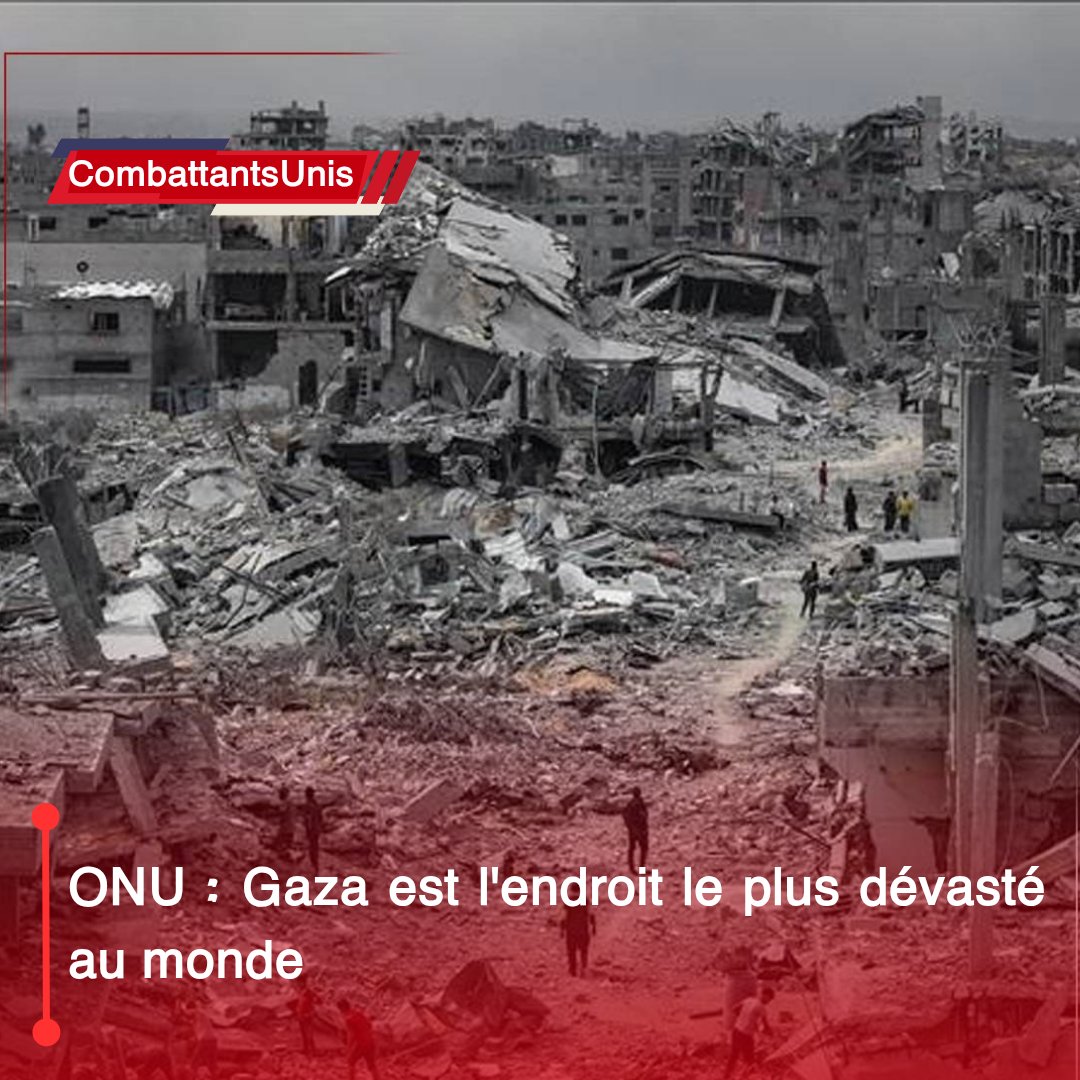 CombattantsUnis🇵🇸🇨🇩🇸🇩 tweet media