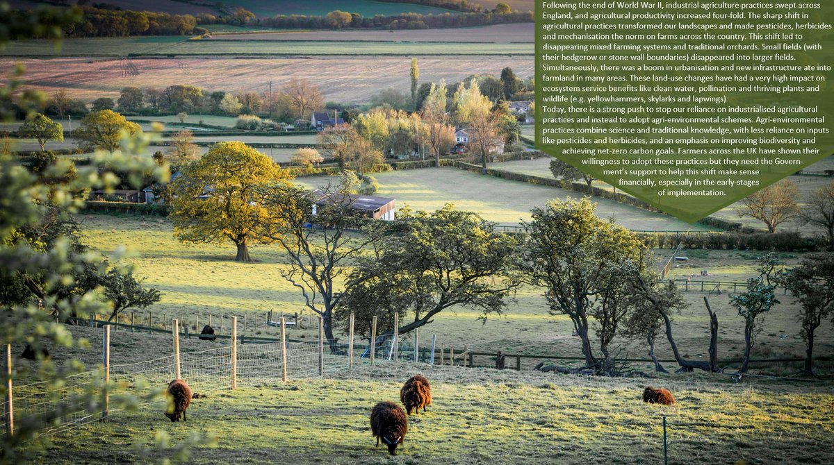 🚜Land-use change has a very high impact on farmland's #ecosystemservices, following a shift to #industrialisedagriculture and a boom in development post WWII, notes <a href="/NaturalEngland/">Natural England</a>'s #StateofNaturalCapital report. 

Link: tinyurl.com/mu2ycjua
📸: Illiya Vjestica, Unsplash