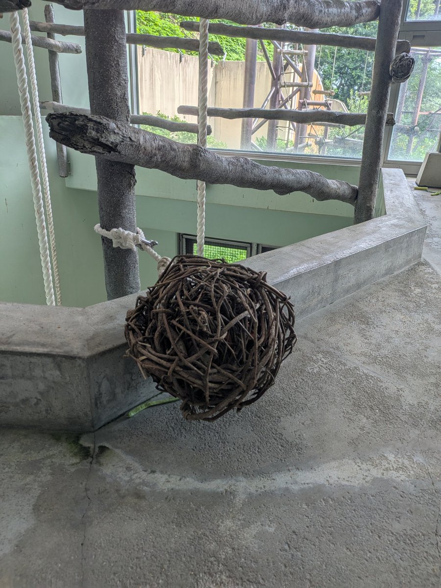 まるちゃんページ まるちゃん on X