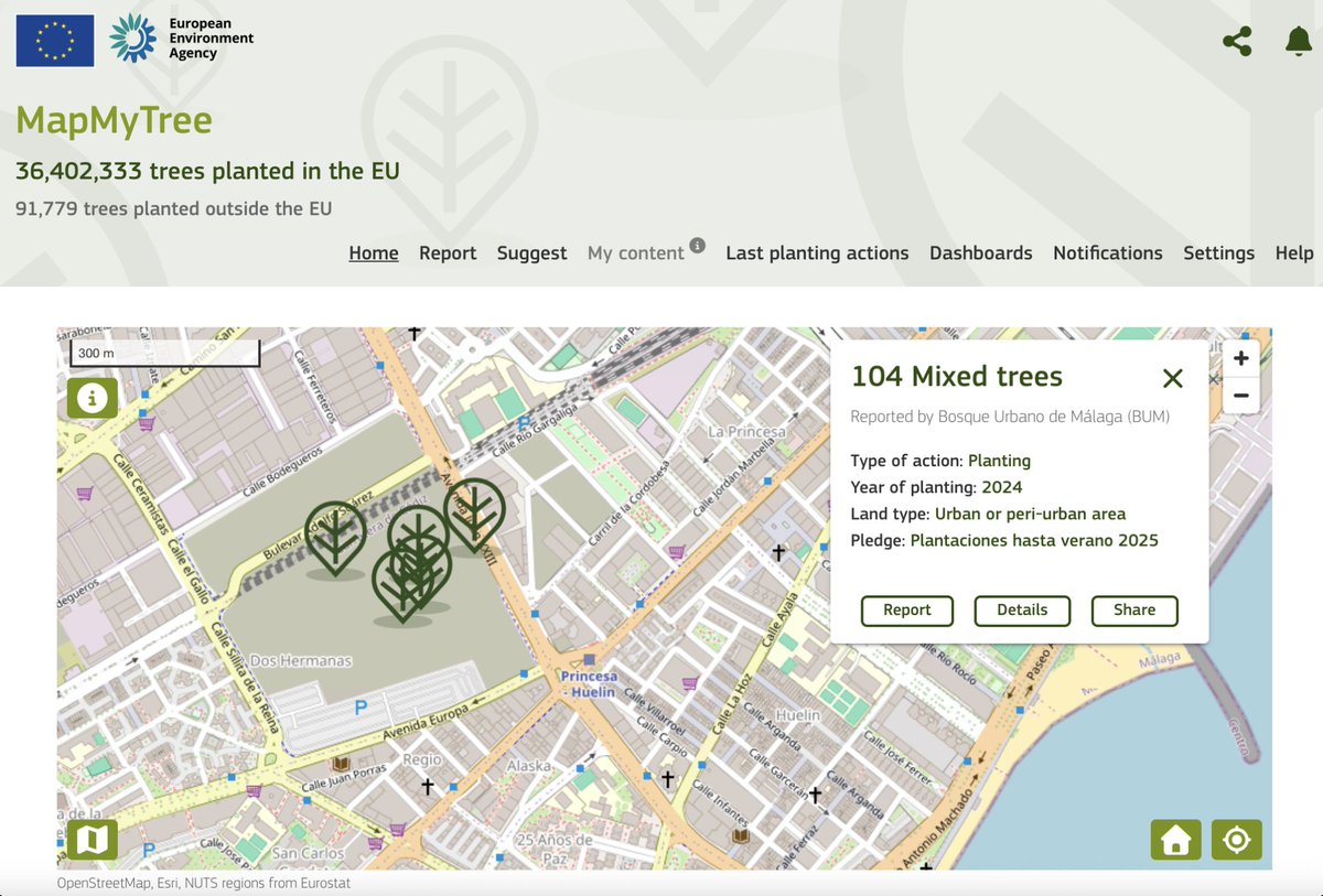 BosqueUrbanoMA's tweet photo. Nos alegra compartir que @BosqueUrbanoMA ha añadido este año 104 nuevos #árboles al registro europeo #MapMyTree, contribuyendo al objetivo de alcanzar los 3.000 millones de #árboles plantados en la #UE antes de 2030. 🤗
👉🏼https://t.co/8qNssl7sbm
#YoQuieroBUM 💚🌳 @EUEnvironment https://t.co/KtaE5oLzwH
