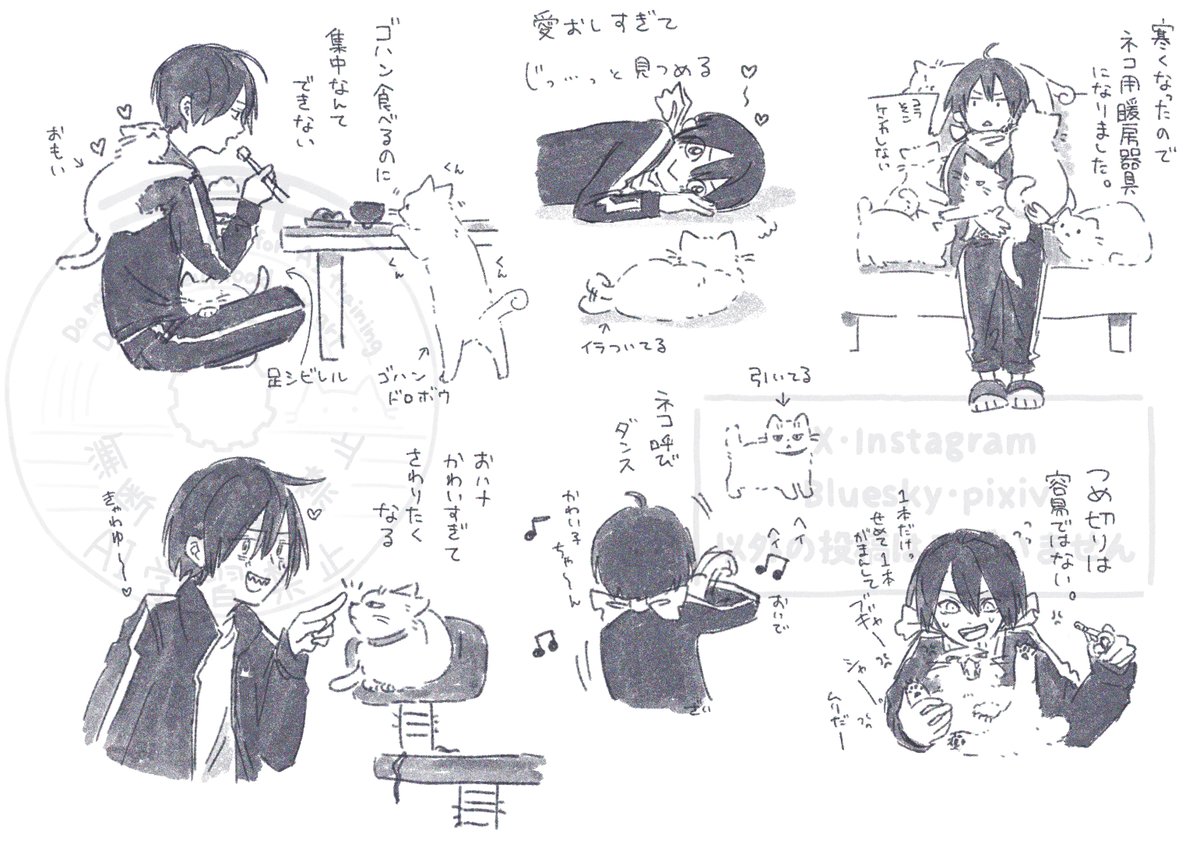 もちまる (@mochigami810) / Posts / X