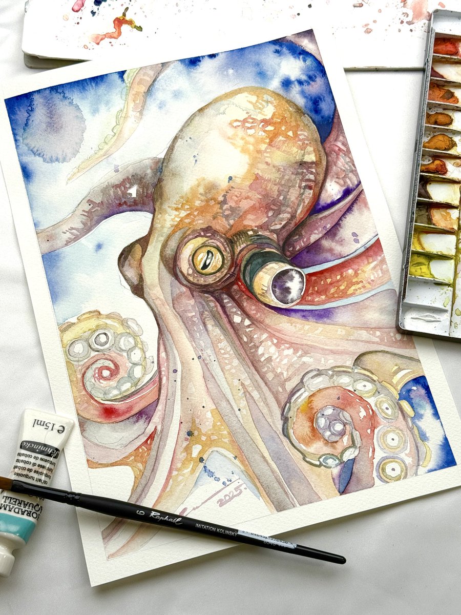 マツダケン　原画(タコ) マツダケン@12/5〜17銀座個展 on X