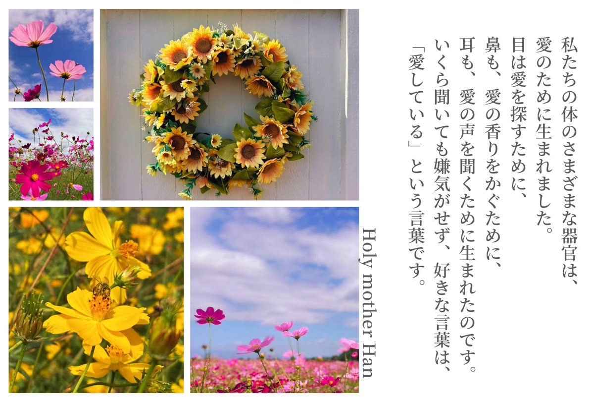 カリメロ花子　フォロー割 世界平和統一家庭連合 高崎家庭教会 on X