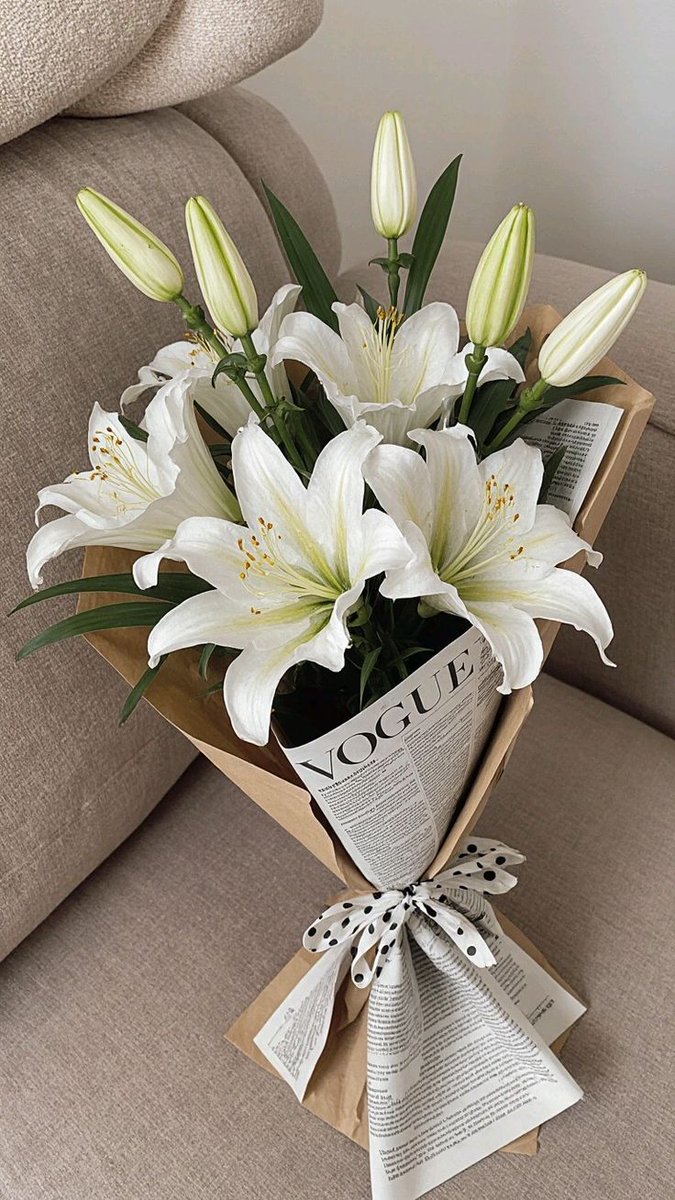 🌼🌾🌻 J e k l i n. 🌻🌾🌼 tweet media