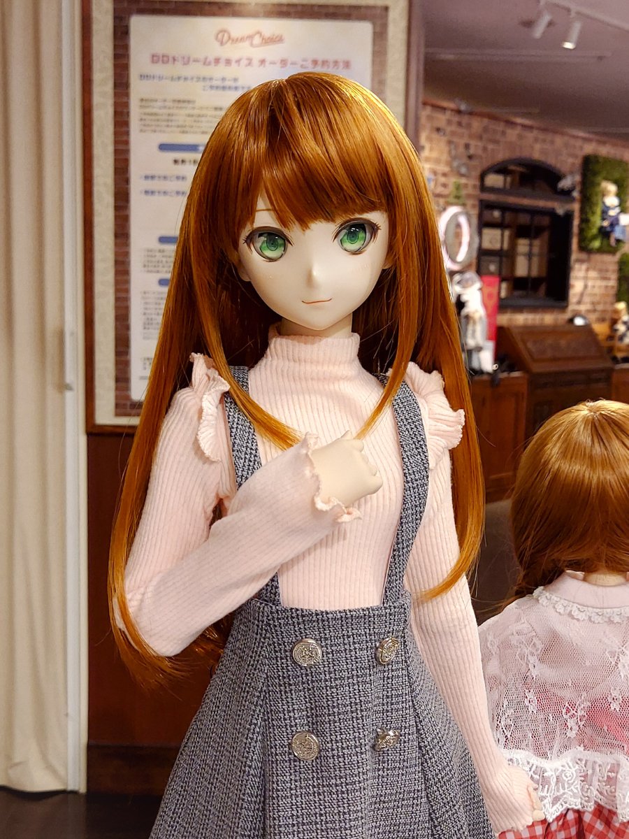 ドルポ秋葉原 情報】 DDスタンダードモデルお迎えできます！ 写真の
