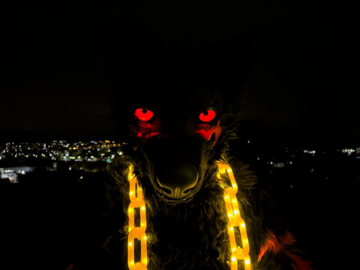 Halloween is getting closer. Watch out for the werewolves.

📸 <a href="/akithepup/">Aki</a>