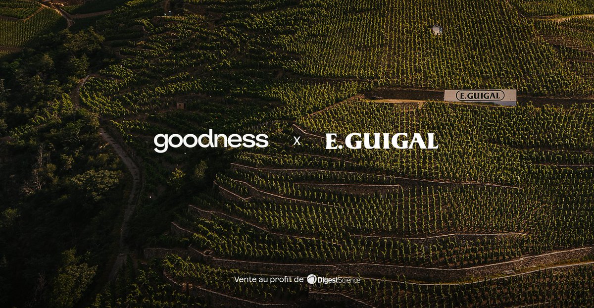 Domaine Guigal tweet media