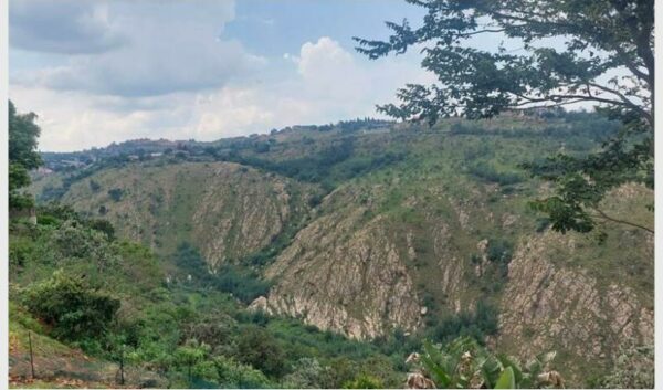 The kloof is a protected area – but it needs hands, heart, and help to stay that way.

citizen.co.za/krugersdorp-ne…