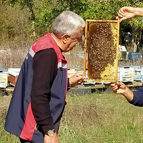 🐝ARILI KOVAN TESPİTLERİ YAPILIYOR 🐝

➡facebook.com/silivri.tarim/…

<a href="/SilivriTarim/">Silivri İlçe Tarım ve Orman Müdürlüğü</a> 
<a href="/isttarimorman/">İstanbul İl Tarım ve Orman Müdürlüğü</a> 
<a href="/TCTarim/">T.C. Tarım ve Orman Bakanlığı</a> 
<a href="/TR_HAYGEM/">Hayvancılık Genel Müdürlüğü</a>