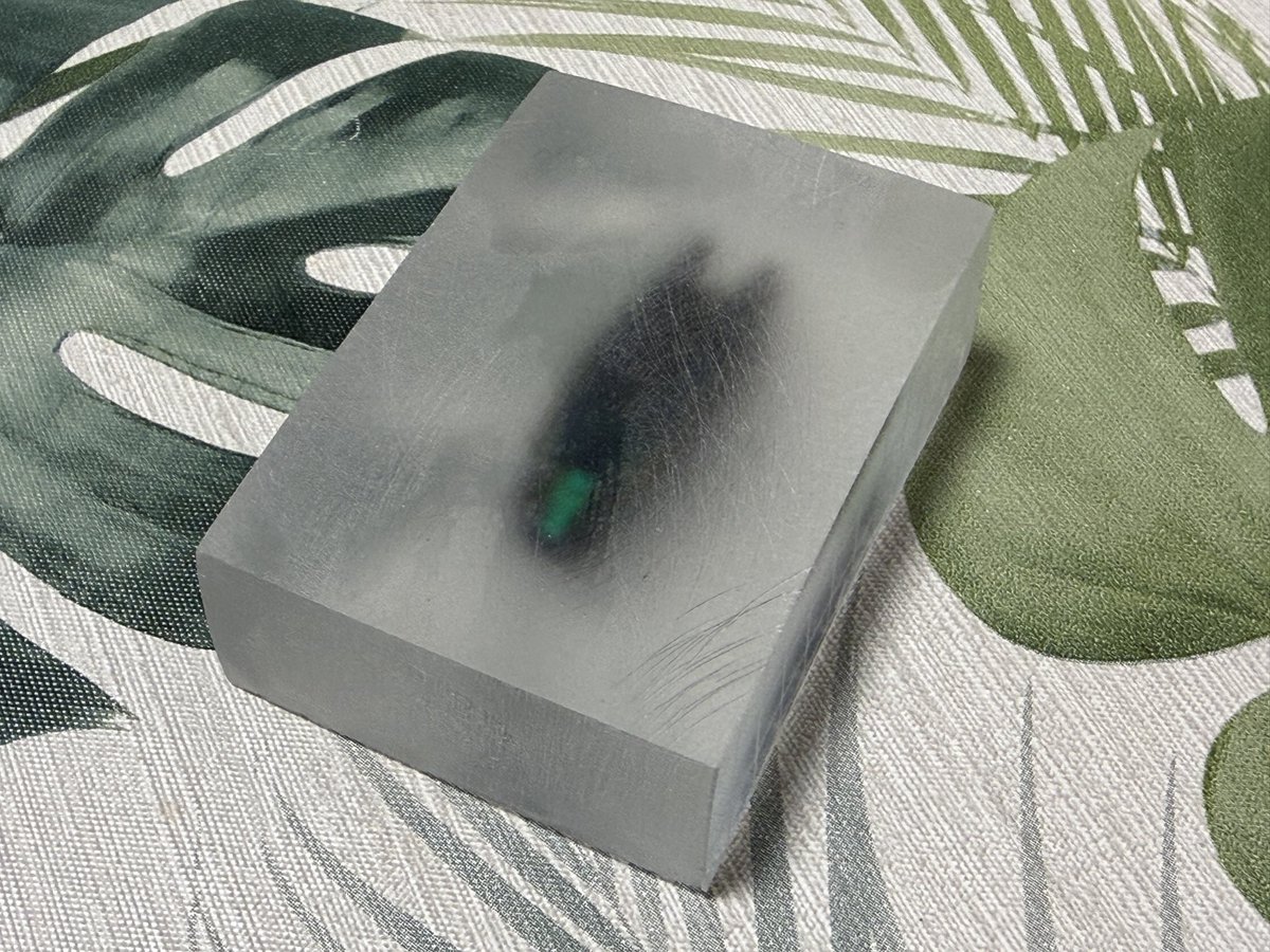 アルマジロ　剥製 ヨシモトコレクション >> 標本・資料データベース :: 国立科学博物館