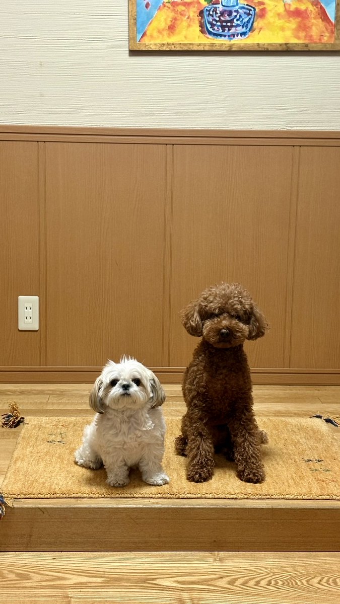 青春出版社 on X