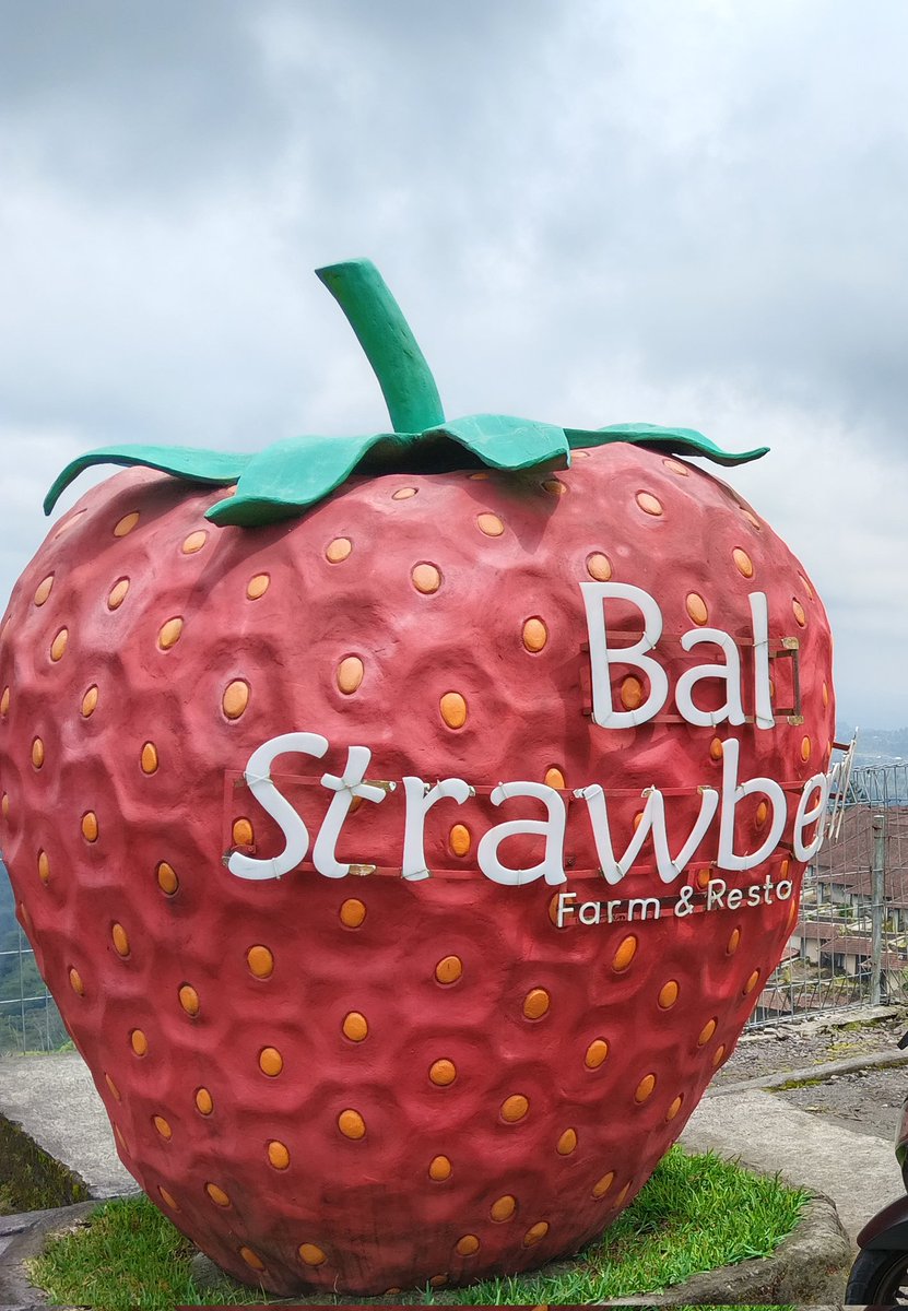 Bedugul itu seperti puncak, dingin2 gimana gitu