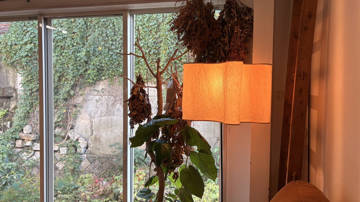 iamsho2002's tweet image. カフェゼミラジオin香川三豊 #melc2025
今日はこんな空間で収録します！