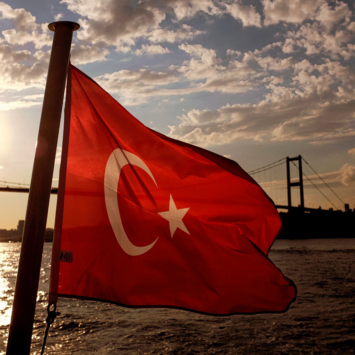 gulcan tweet media
