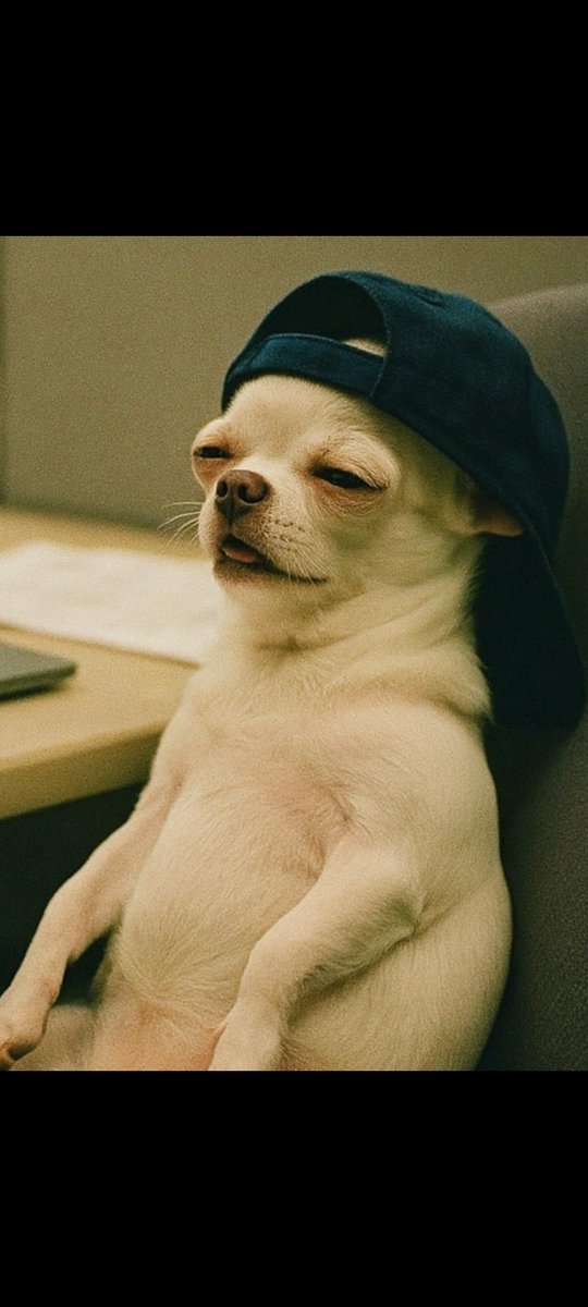 legion__22's tweet image. GM CT ☀️ 

its another day to show up for your convictions

@rainbowdotme makes living onchain simple, colorful, and easy for everyone

@GoKiteAI is a Layer 1 blockchain built to power decentralized AI ecosystems, enabling secure coordination, attribution, and rewards for AI…